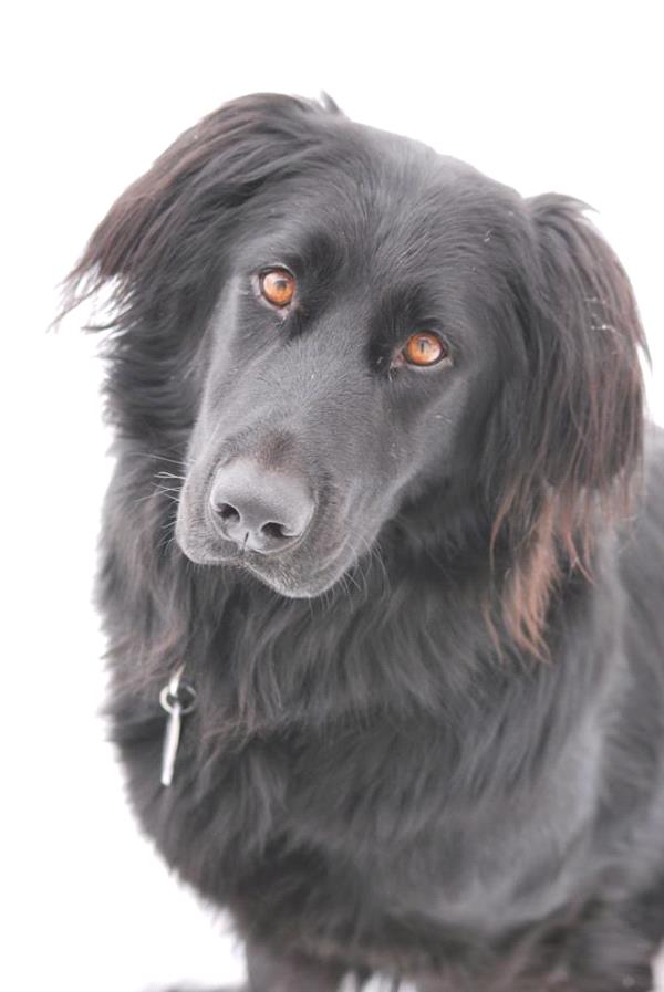 /Images/uploads/Humane Society of Utah/HSUCalendar/entries/1633thumb.jpg